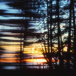 beautiful experiences of life