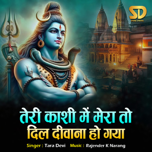 Teri Kashi Mein Mera To Dil Deewana Ho Gaya