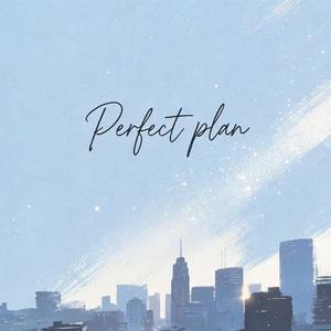 Perfect plan