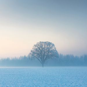 脱离 (Prod.費奈爾蘭德)