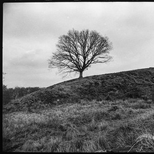 Awakening (Extended Version)