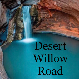 Desert Willow Road