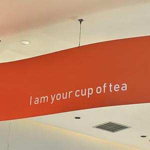 遇见你的时候所有星星都落到我头上