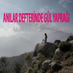 Anılar Defterinde Gül Yaprağı