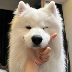 纸船