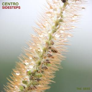 Sidesteps (Oscar Vega Remix)