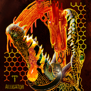 ALLIGATOR