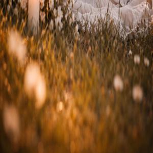 Θεοφάνεια παιδί μου σε ειδα ξανα (Demo Version)