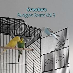 Budgies Beats XVI (Vol III)