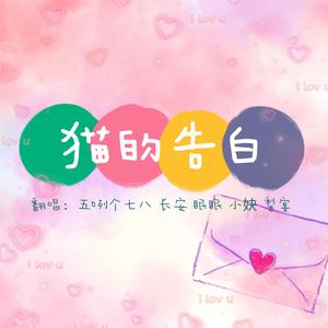 猫的告白