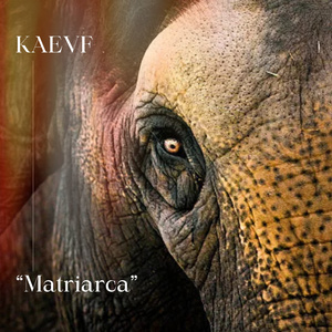 Matriarca