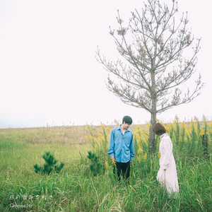 日の当たる町で