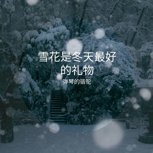 雪花是冬天最好的礼物