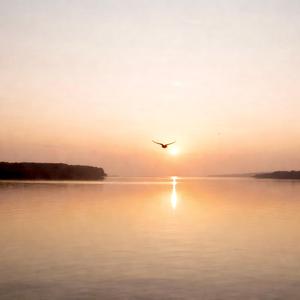 Inner Silence – Soft Meditation