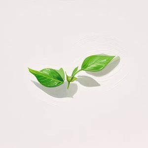 风告诉我春要来临