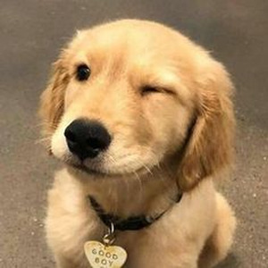 Everybody's (sped up)