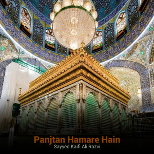 Panjtan Hamare Hain