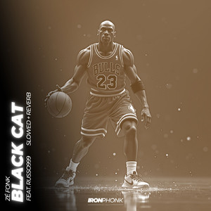 Black Cat - slowed + reverb (feat. RUSSO999)