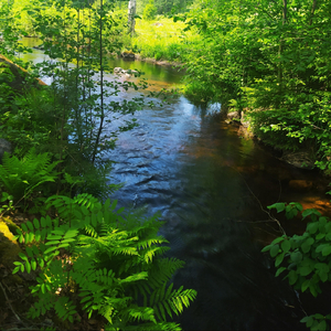 Kuka Seisoo Sun Rinnalla