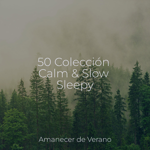 Brisa besó Pétalos Bailan