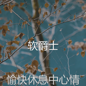 抚慰的浓度回忆