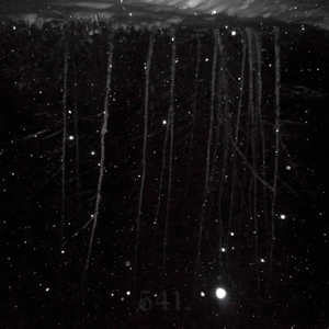 больше и больше (speed up)