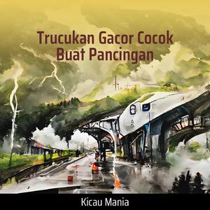 Trucukan Gacor Cocok Buat Pancingan