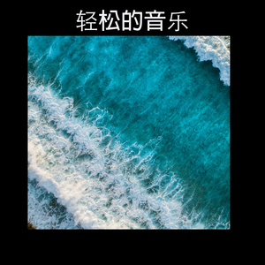 聚焦音乐 - Focus Music