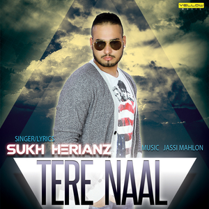 Tere Naal