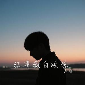 红蔷薇白玫瑰 (Cover G.E.M. 邓紫棋)