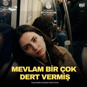 Mevlam Bir Çok Dert Vermiş