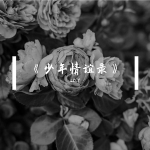 《少年情忆录》