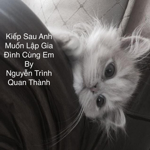 Kiếp Sau Anh Muốn Lập Gia Đình Cùng Em