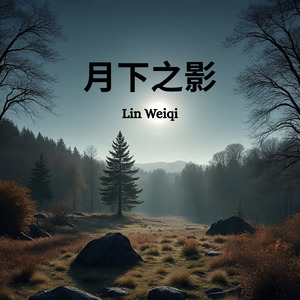 月下之影