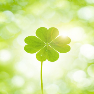 1到10=我和你（翻自 赵诗楠）