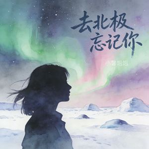 去北极忘记你（治愈女声版）