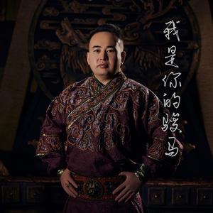 我是你的骏马
