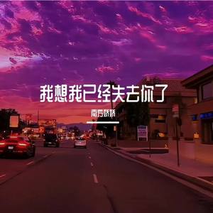 我想我已经失去你了
