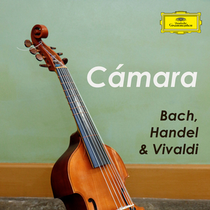 Trio Sonata in C Major, RV 82:I. Allegro non molto (quasi andante)