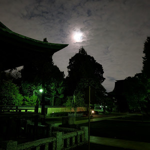 深夜徘徊