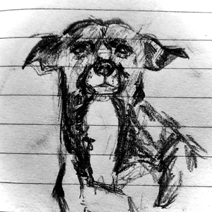 窗外的天空（伴奏）