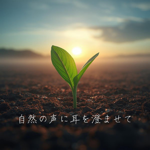 雨上がりの匂い