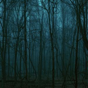 recording1intermission