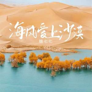 海风爱上沙漠 (伴奏)