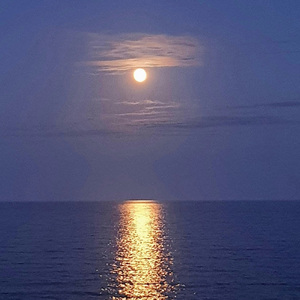 सद्भावना का संगीत (Sadbhavna Ka Sangeet)