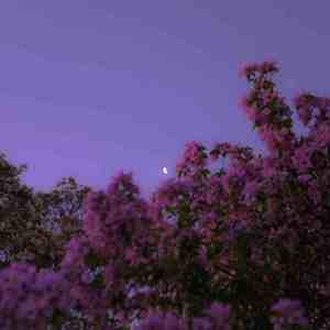 "GoodBye" Juice Wrld x Iann Dior Type Beat