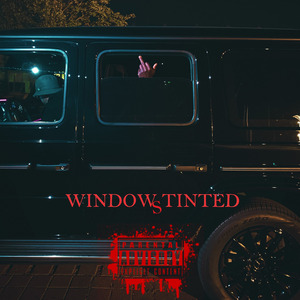 Windows Tinted