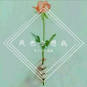 可可托海的牧羊人