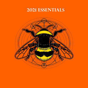 Muzik (Original Mix)