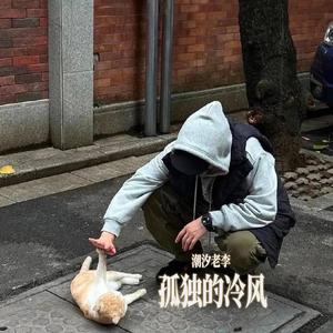 孤独的冷风（一个人的冬）
